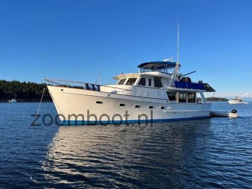 Ocean Alexander 50 specificaties 